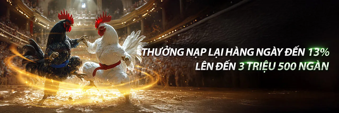 Đấu trường đá gà trực tuyến sôi động tại g666 web
